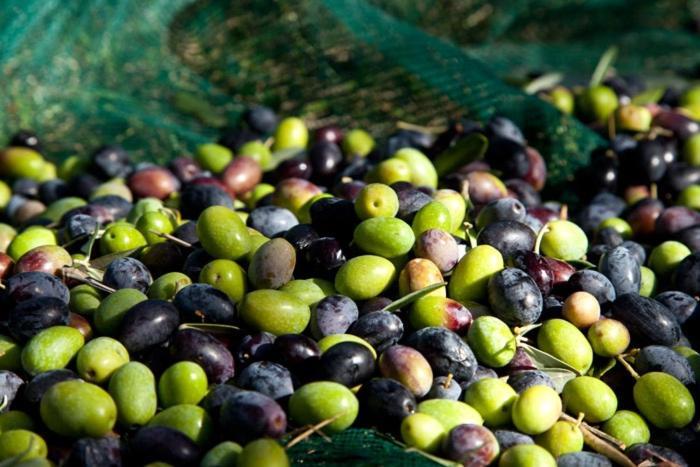 B&B Borgo Antico Papasidero エクステリア 写真